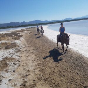 5- daagse paardrijtocht (7 dagen vakantie) 'Two Islands' Sardinie - Italie - Afbeelding 4