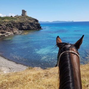 4-daagse paardrijtocht (6 dagen vakantie) 'Two Islands' Sardinie - Italie - Afbeelding 5