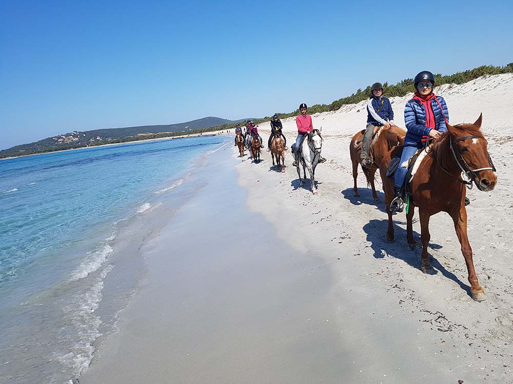 4-daagse paardrijtocht (6 dagen vakantie) 