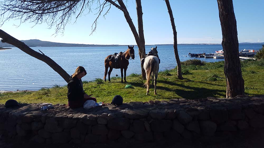 5- daagse paardrijtocht (7 dagen vakantie) 