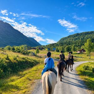 3-daagse Fjord Ride Weekend – Westkust - Noorwegen - Afbeelding 4