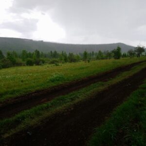11-daagse Paardrijtocht Noord-Mongolië - Mongolië - Afbeelding 4