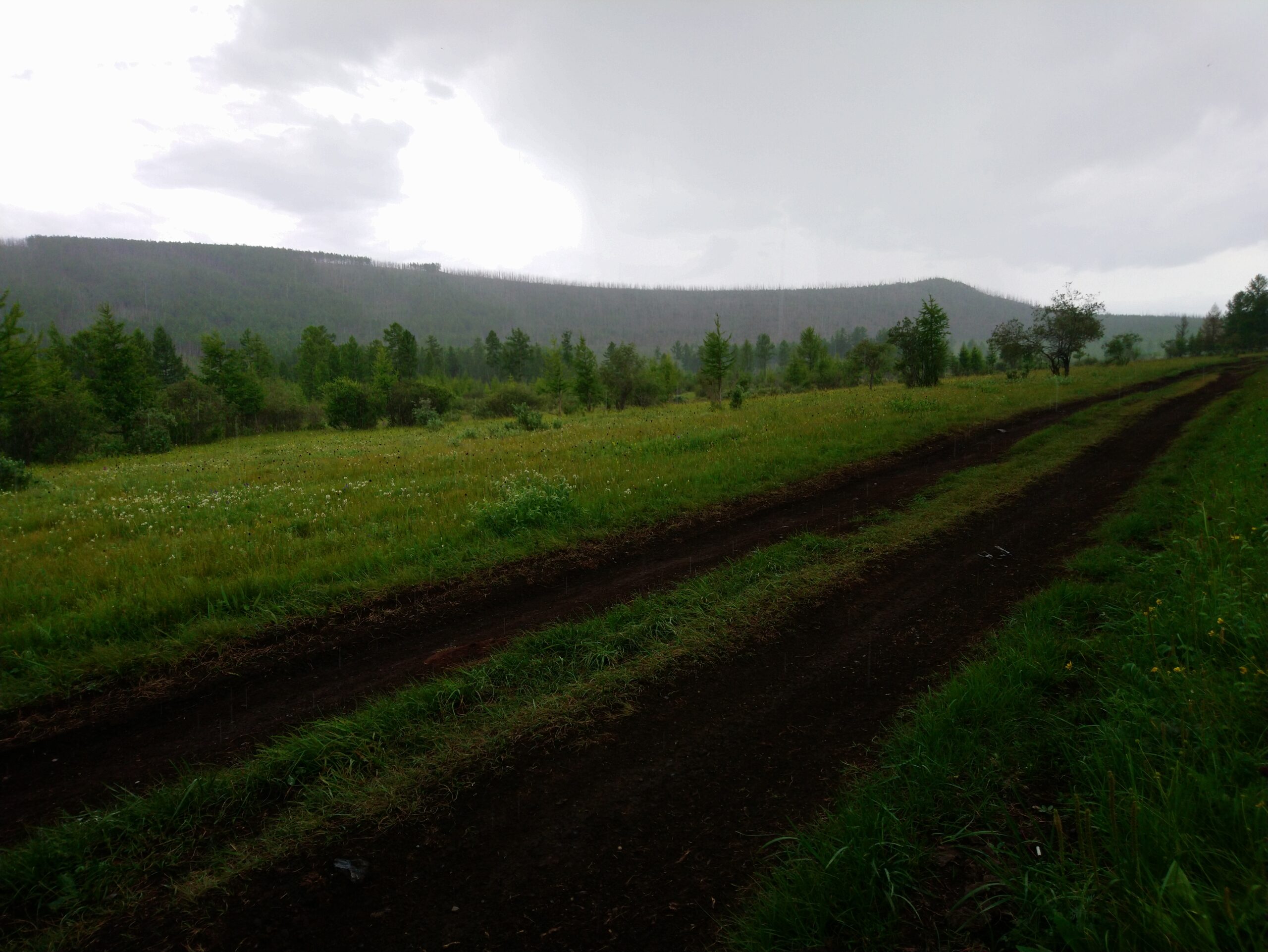 11-daagse Paardrijtocht Noord-Mongolië - Mongolië - Afbeelding 4