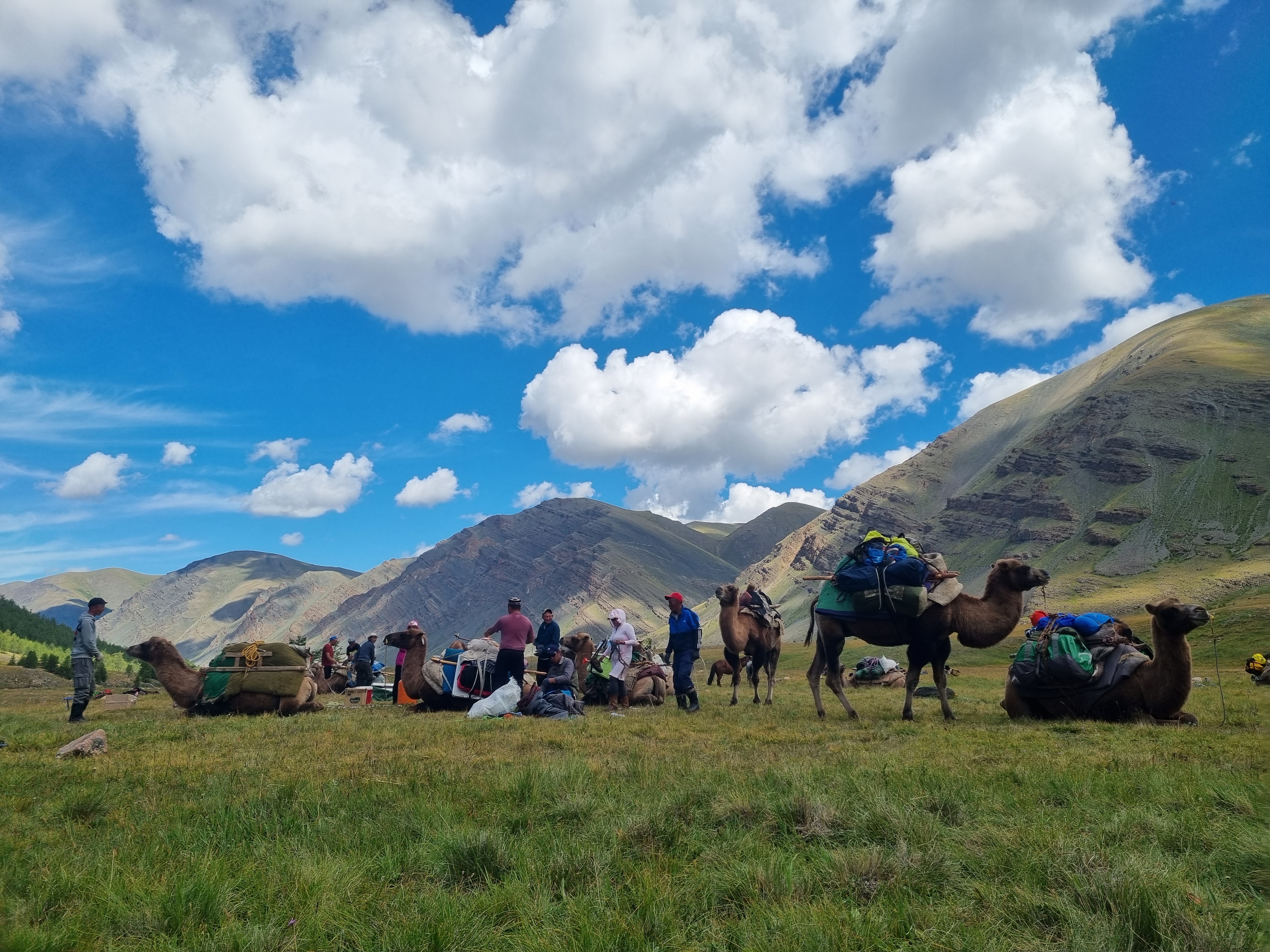 12-daagse Paardrijtocht Altai-gebergte - Mongolië - Afbeelding 72