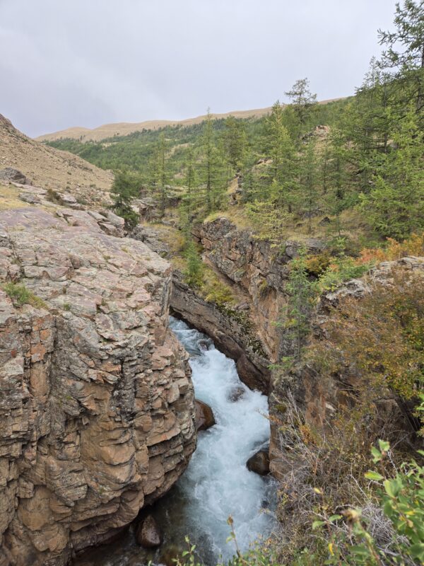 12-daagse Paardrijtocht Altai-gebergte - Mongolië