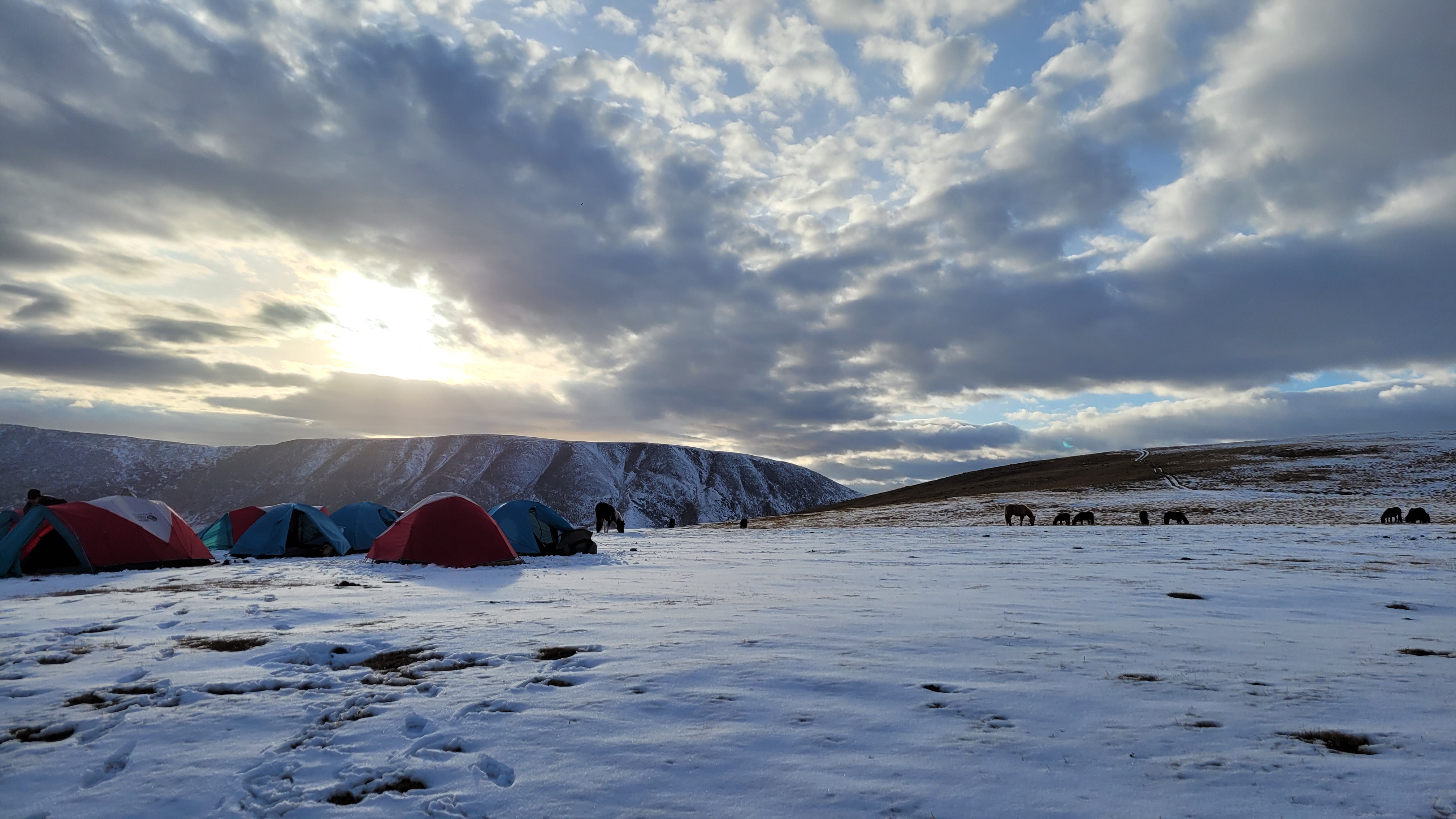 12-daagse Paardrijtocht Altai-gebergte - Mongolië - Afbeelding 68