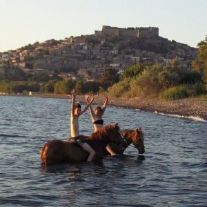 8-daagse standplaats paardrijvakantie Gevorderde ruiter Lesbos – Griekenland - Afbeelding 14