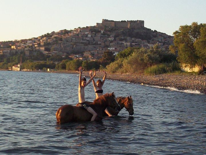 8-daagse standplaats paardrijvakantie Gevorderde ruiter Lesbos – Griekenland