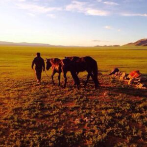 7-daagse Paardrijexpeditie Khan Khentii - Mongolië - Afbeelding 8