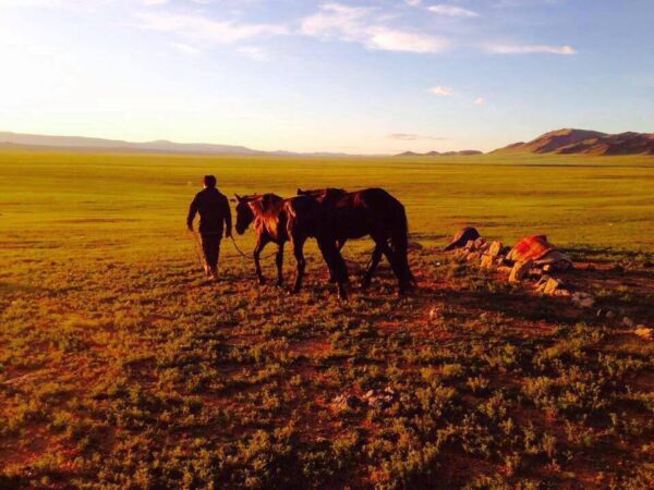 12-daagse Paardrijexpeditie Rendiernomaden & de diepe taiga - Mongolië