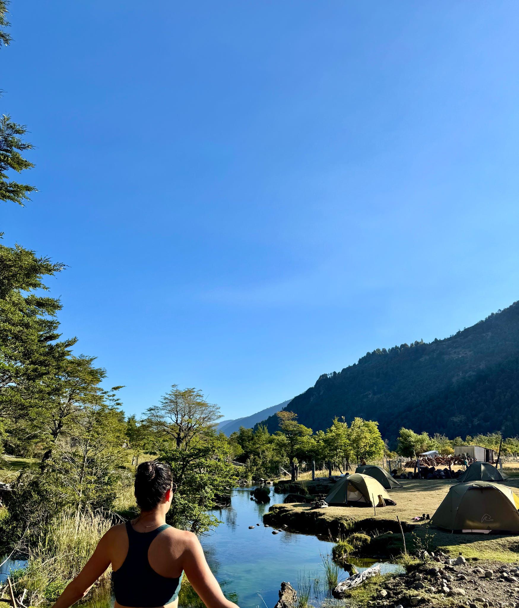 4-daagse paardrijtocht in Nationaal Park Villarrica - Chili