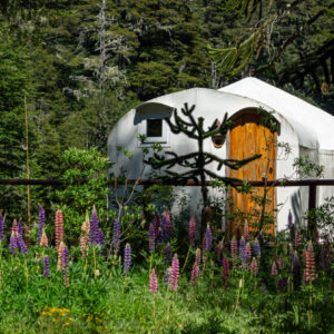 4-daagse paardrijtocht in Huerquehue National Park - Chili - Afbeelding 15