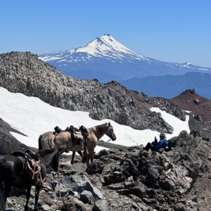 4-daagse paardrijtocht in Huerquehue National Park - Chili - Afbeelding 36