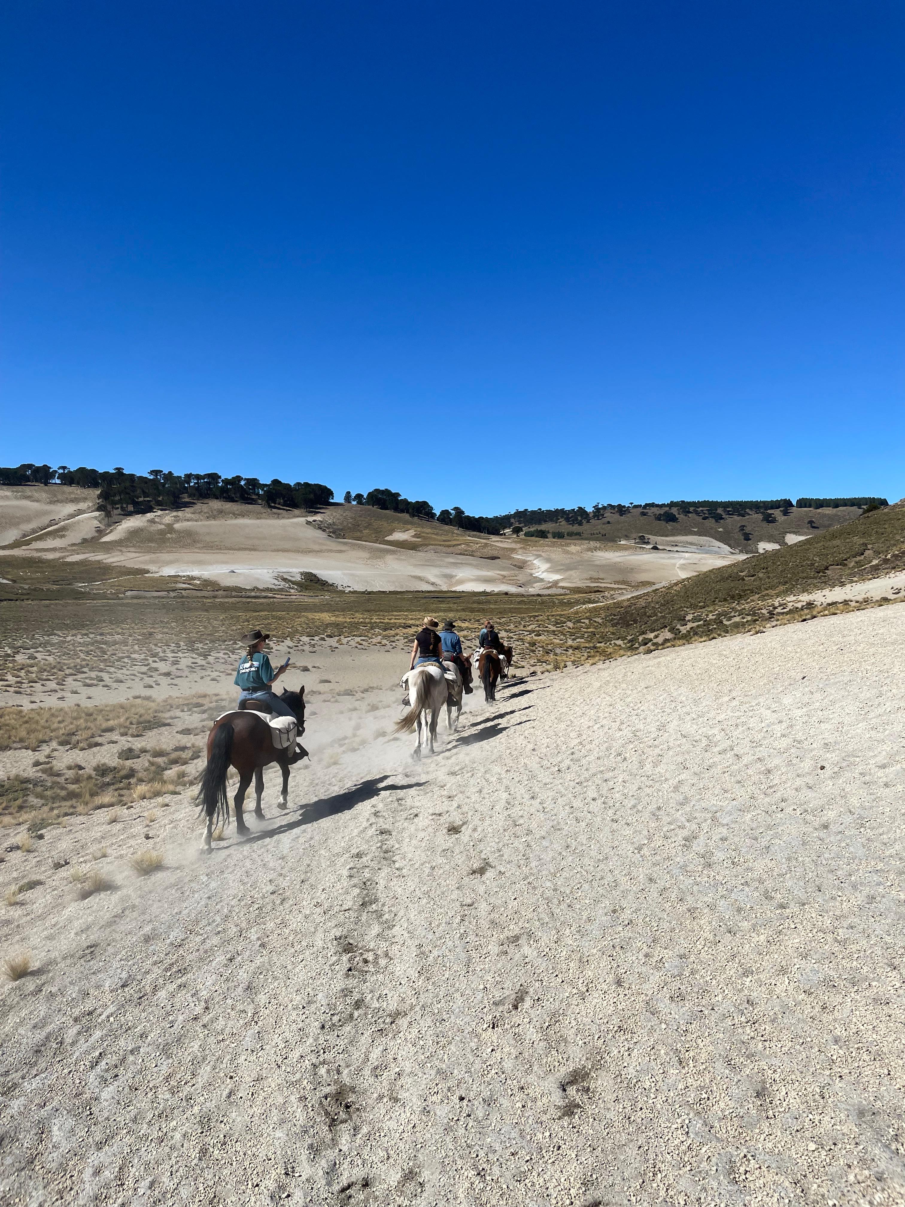 8-daagse paardrijtocht door Villarrica en Huerquehue National Park - Chili - Afbeelding 45