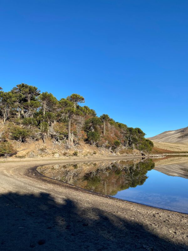 4-daagse paardrijtocht in Nationaal Park Villarrica - Chili