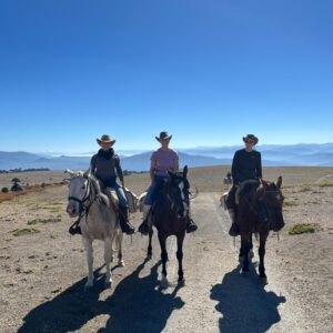 4-daagse paardrijtocht in Huerquehue National Park - Chili - Afbeelding 34