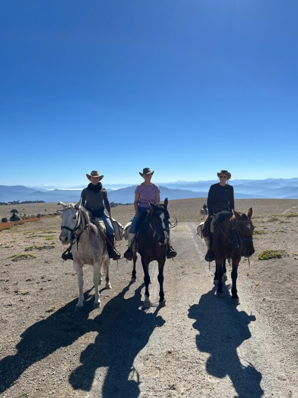4-daagse paardrijtocht in Huerquehue National Park - Chili