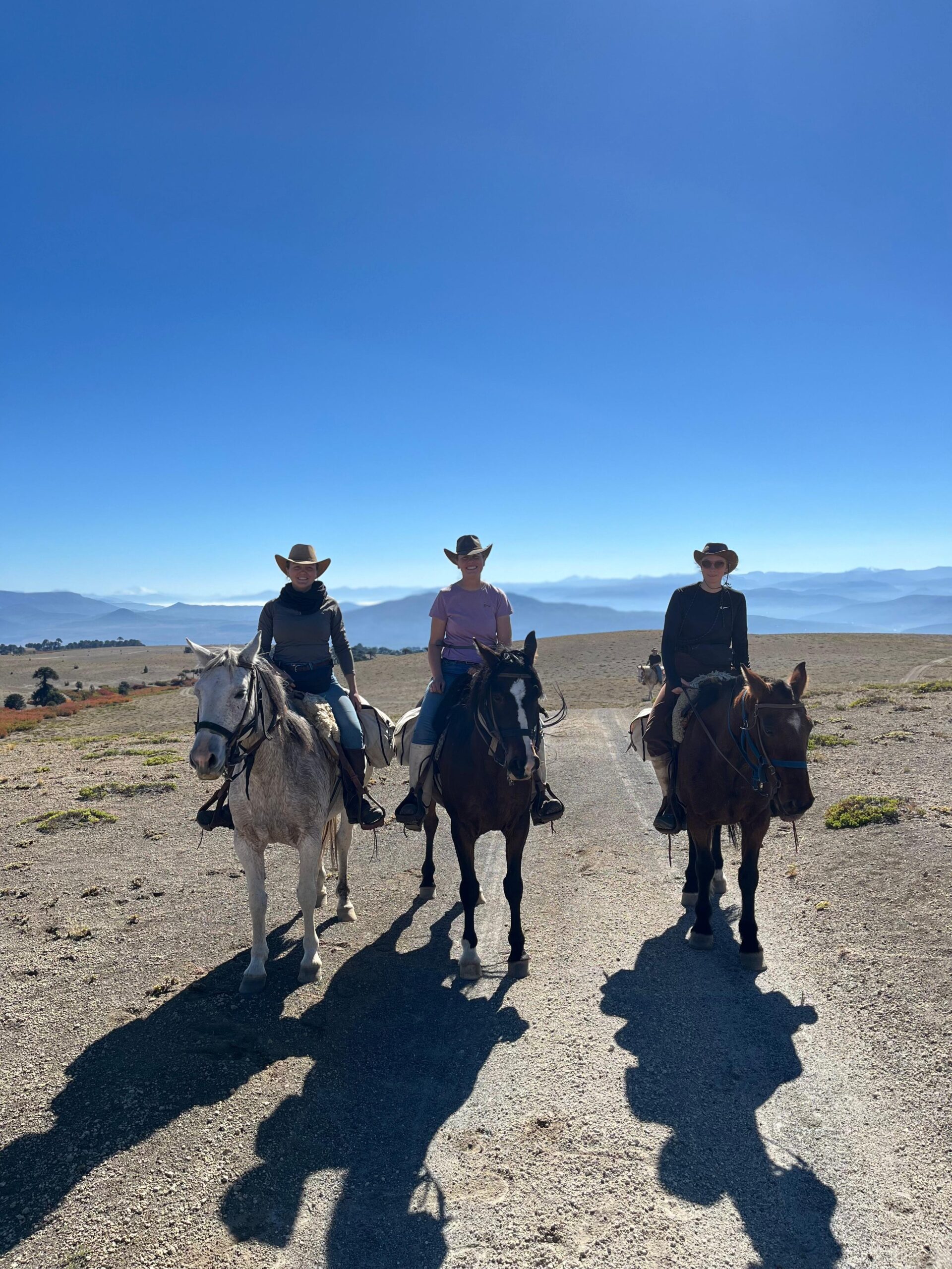 4-daagse paardrijtocht in Huerquehue National Park - Chili - Afbeelding 34