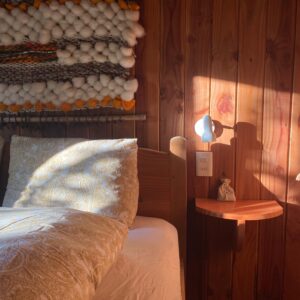 9-, 10- of 11-daagse paardrijtocht: De Andes oversteken - Chili naar Argentinië - Afbeelding 47