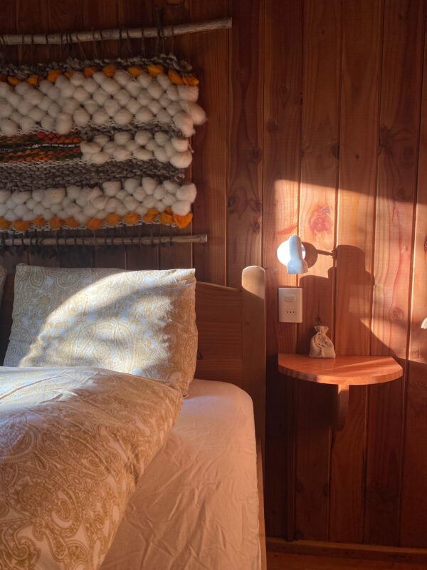 9-, 10- of 11-daagse paardrijtocht: De Andes oversteken - Chili naar Argentinië