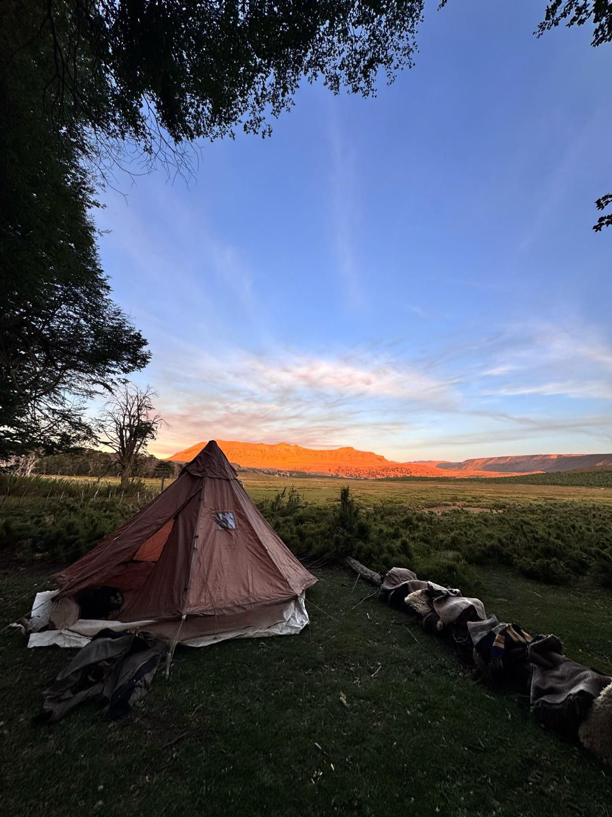 4-daagse paardrijtocht in Nationaal Park Villarrica - Chili - Afbeelding 40