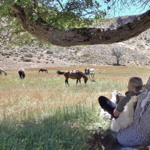 8-daagse paardrijtocht door Villarrica en Huerquehue National Park - Chili - Afbeelding 44