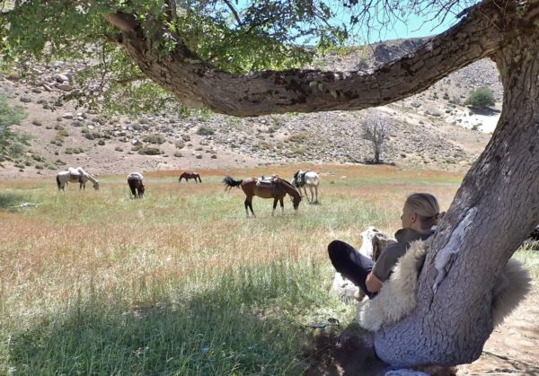 8-daagse paardrijtocht door Villarrica en Huerquehue National Park - Chili