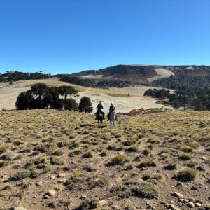 4-daagse paardrijtocht in Huerquehue National Park - Chili - Afbeelding 33