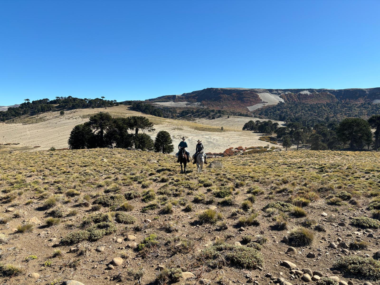 4-daagse paardrijtocht in Huerquehue National Park - Chili