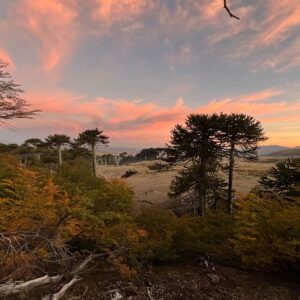 8-daagse paardrijtocht door Villarrica en Huerquehue National Park - Chili - Afbeelding 43