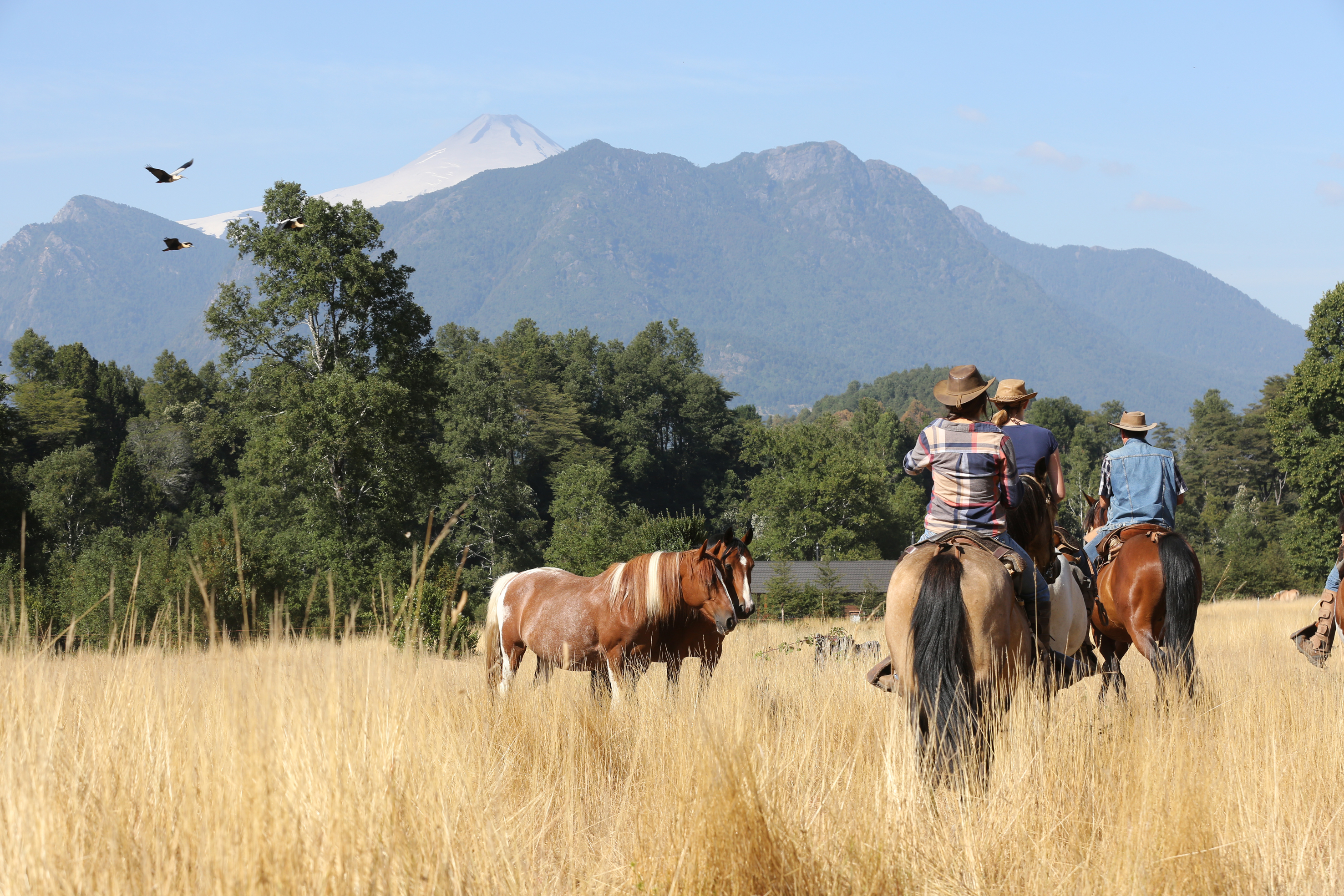 4-daagse paardrijtocht in Huerquehue National Park - Chili - Afbeelding 17
