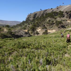 9-, 10- of 11-daagse paardrijtocht: De Andes oversteken - Chili naar Argentinië - Afbeelding 39