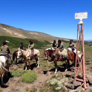 9-, 10- of 11-daagse paardrijtocht: De Andes oversteken - Chili naar Argentinië - Afbeelding 38
