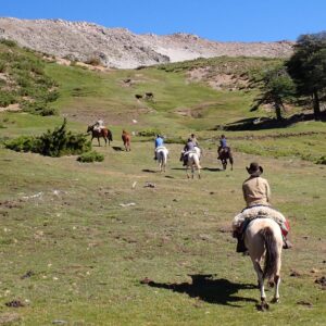 9-, 10- of 11-daagse paardrijtocht: De Andes oversteken - Chili naar Argentinië - Afbeelding 36