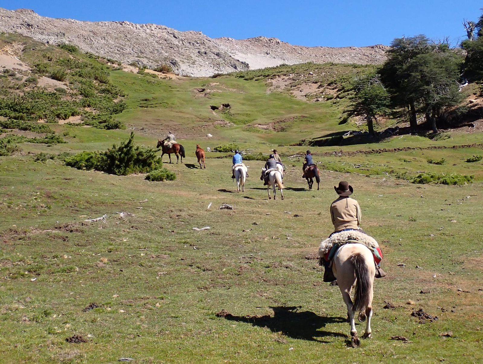 9-, 10- of 11-daagse paardrijtocht: De Andes oversteken - Chili naar Argentinië - Afbeelding 36