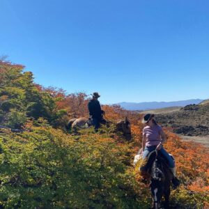 9-, 10- of 11-daagse paardrijtocht: De Andes oversteken - Chili naar Argentinië - Afbeelding 34