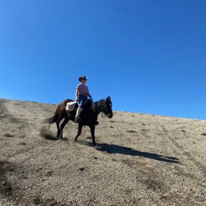 9-, 10- of 11-daagse paardrijtocht: De Andes oversteken - Chili naar Argentinië - Afbeelding 33