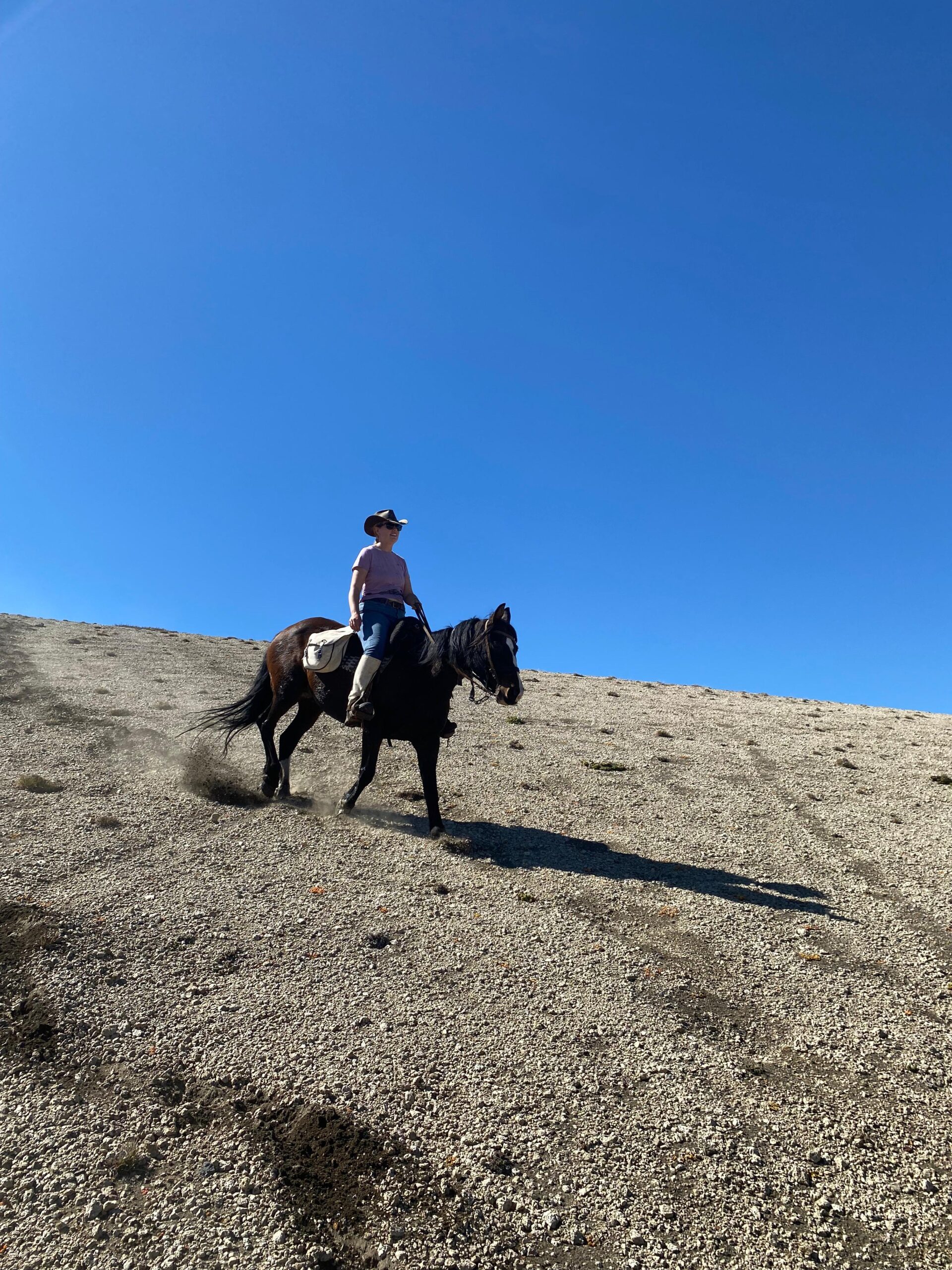 9-, 10- of 11-daagse paardrijtocht: De Andes oversteken - Chili naar Argentinië - Afbeelding 33