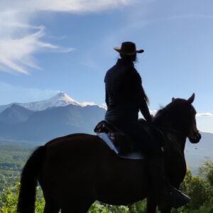 9-, 10- of 11-daagse paardrijtocht: De Andes oversteken - Chili naar Argentinië - Afbeelding 31