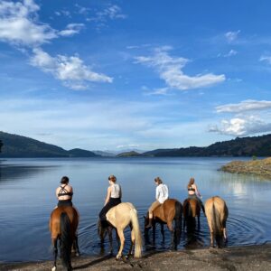 4-daagse paardrijtocht in Huerquehue National Park - Chili - Afbeelding 32