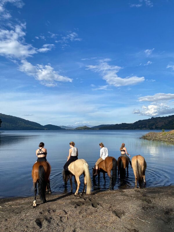 4-daagse paardrijtocht in Huerquehue National Park - Chili