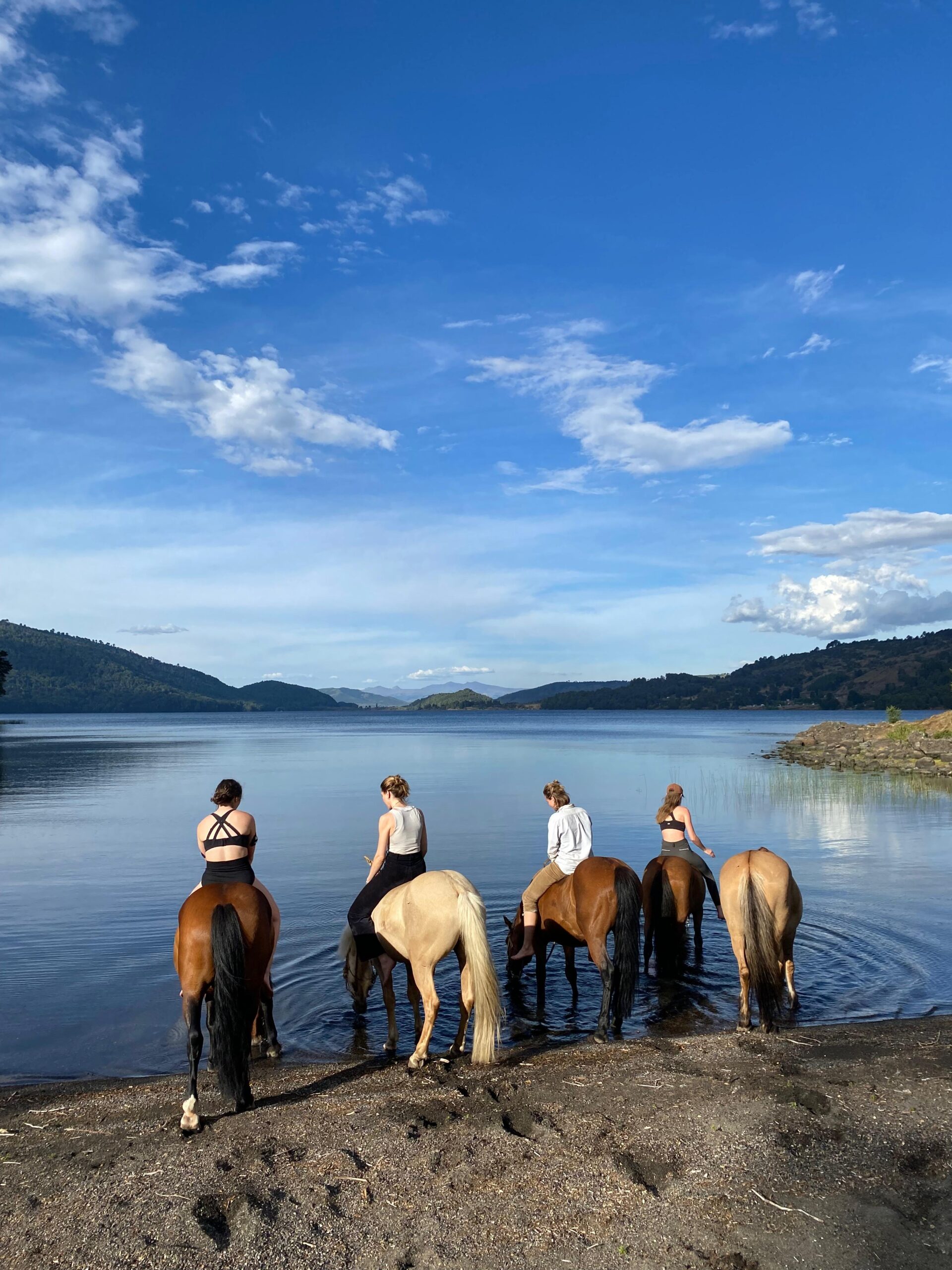 4-daagse paardrijtocht in Huerquehue National Park - Chili - Afbeelding 32