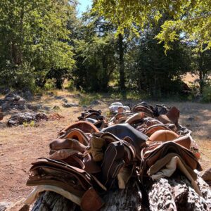 9-, 10- of 11-daagse paardrijtocht: De Andes oversteken - Chili naar Argentinië - Afbeelding 30