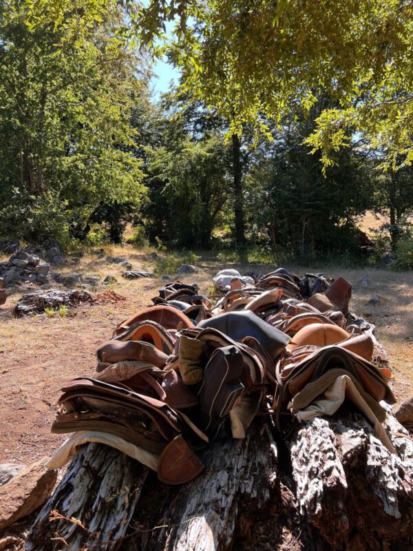 9-, 10- of 11-daagse paardrijtocht: De Andes oversteken - Chili naar Argentinië