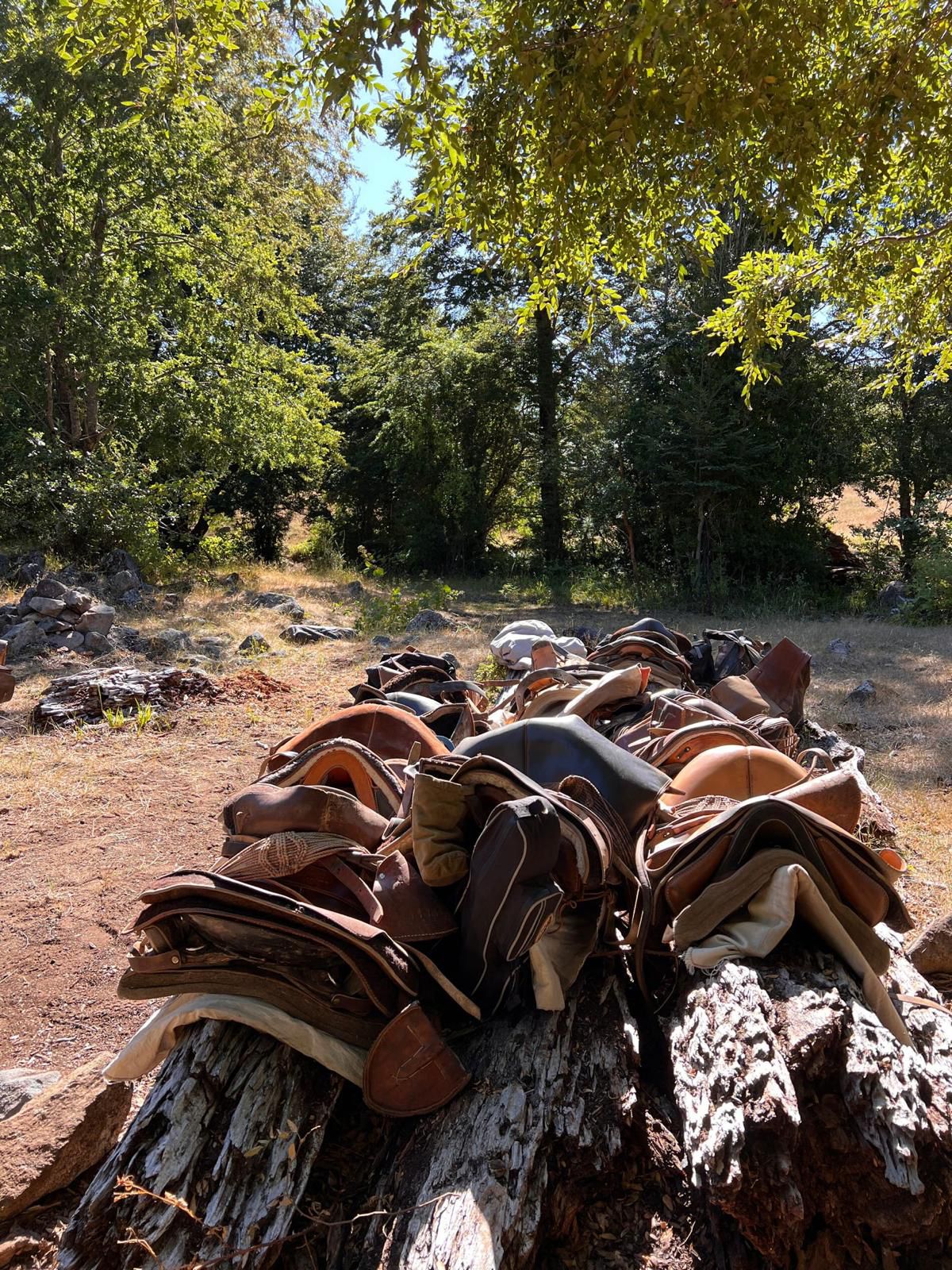 9-, 10- of 11-daagse paardrijtocht: De Andes oversteken - Chili naar Argentinië - Afbeelding 30