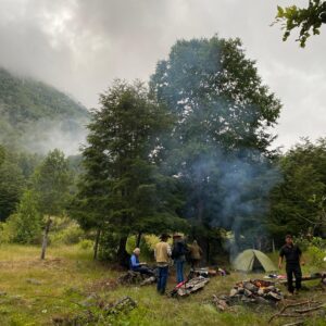 4-daagse paardrijtocht in Nationaal Park Villarrica - Chili - Afbeelding 38