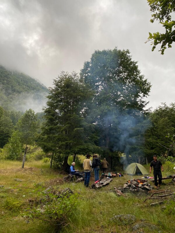 4-daagse paardrijtocht in Nationaal Park Villarrica - Chili