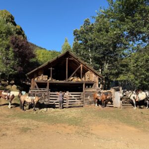 4-daagse paardrijtocht in Nationaal Park Villarrica - Chili - Afbeelding 37