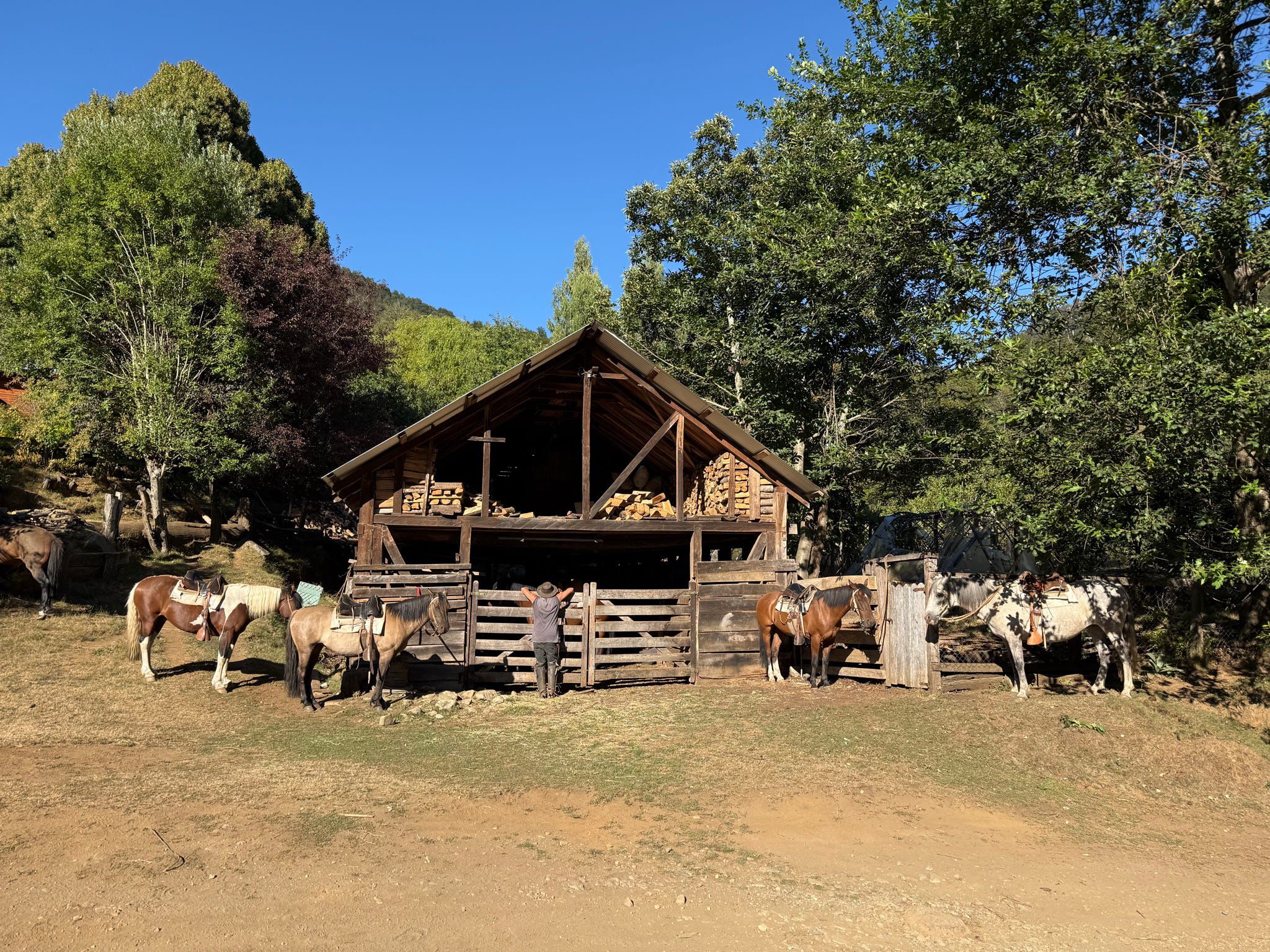 4-daagse paardrijtocht in Nationaal Park Villarrica - Chili - Afbeelding 37