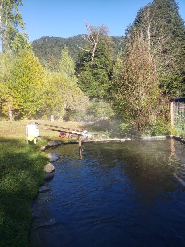 4-daagse paardrijtocht in Nationaal Park Villarrica - Chili